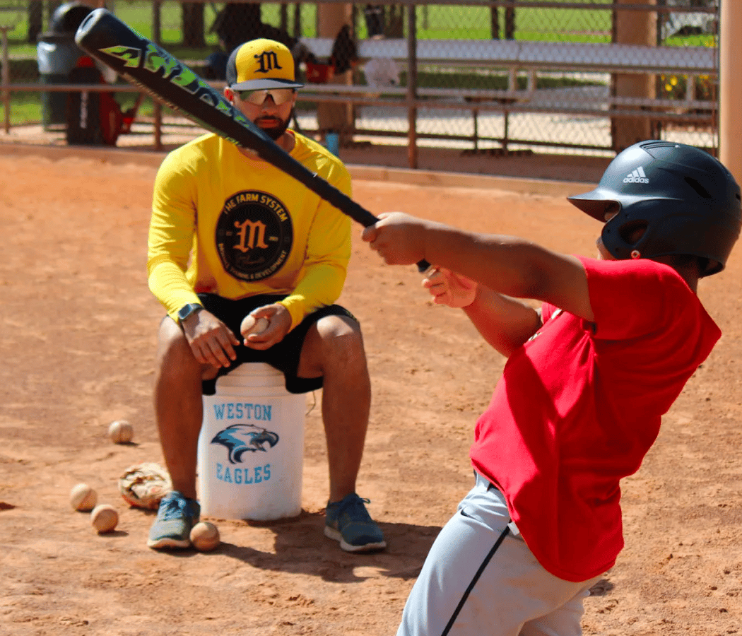The Farm System 2